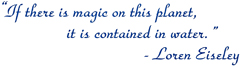 If there is magic on this planet, it is contained in water.  -Loreen Eiseley